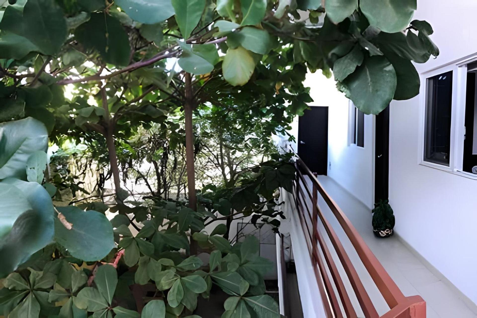 Ferienwohnung 12 De Octubre Cabo San Lucas Exterior foto