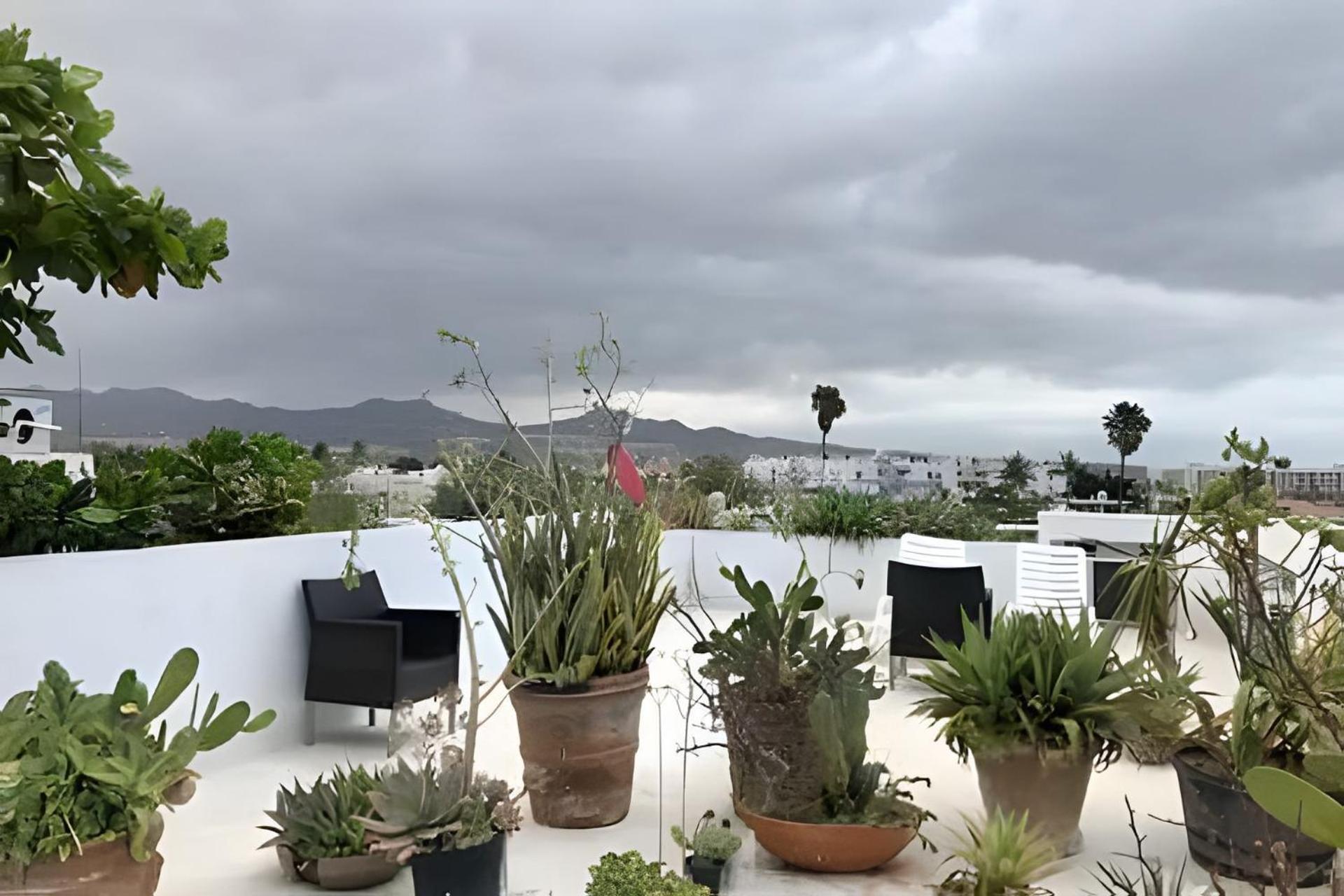Ferienwohnung 12 De Octubre Cabo San Lucas Exterior foto