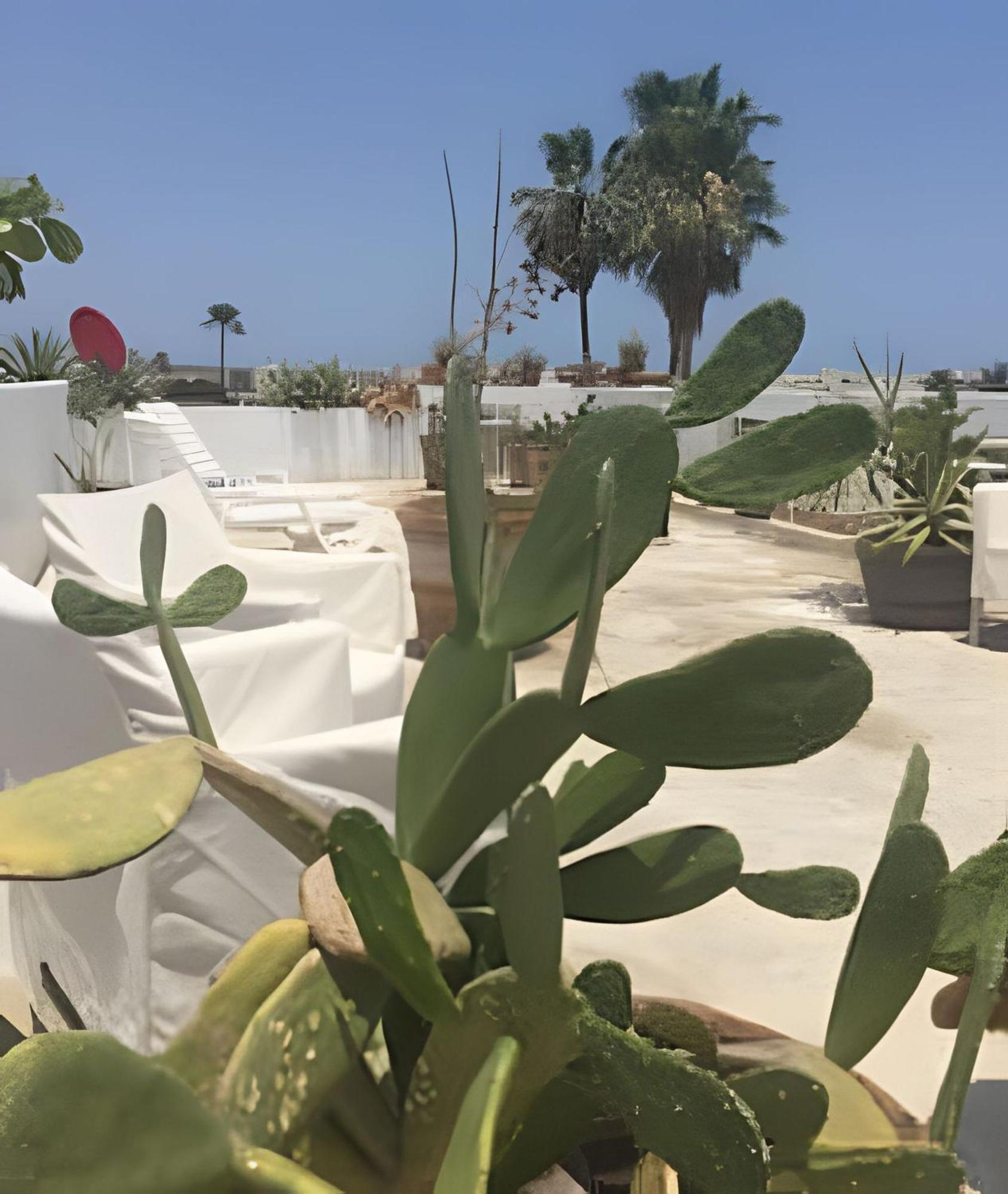 Ferienwohnung 12 De Octubre Cabo San Lucas Exterior foto